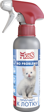  Ms.Kiss.  "No problems":      
